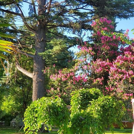 לינה וארוחת בוקר Lujan de Cuyo Quinta Ugarte מראה חיצוני תמונה
