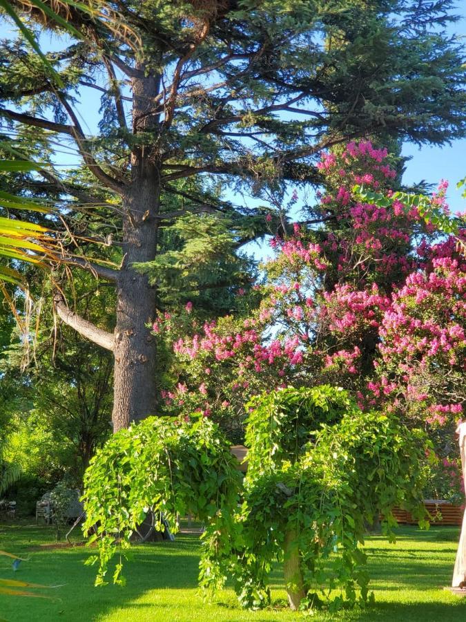 לינה וארוחת בוקר Lujan de Cuyo Quinta Ugarte מראה חיצוני תמונה