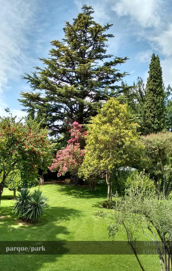 לינה וארוחת בוקר Lujan de Cuyo Quinta Ugarte מראה חיצוני תמונה