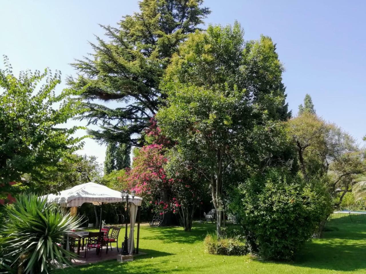 לינה וארוחת בוקר Lujan de Cuyo Quinta Ugarte מראה חיצוני תמונה